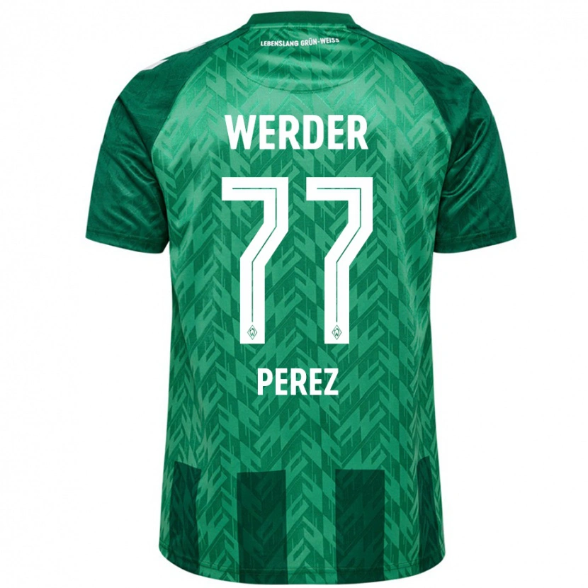 Danxen Mænd Catalina Pérez #77 Grøn Hjemmebane Spillertrøjer 2024/25 Trøje T-Shirt