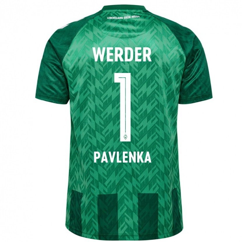 Danxen Mænd Jiri Pavlenka #1 Grøn Hjemmebane Spillertrøjer 2024/25 Trøje T-Shirt