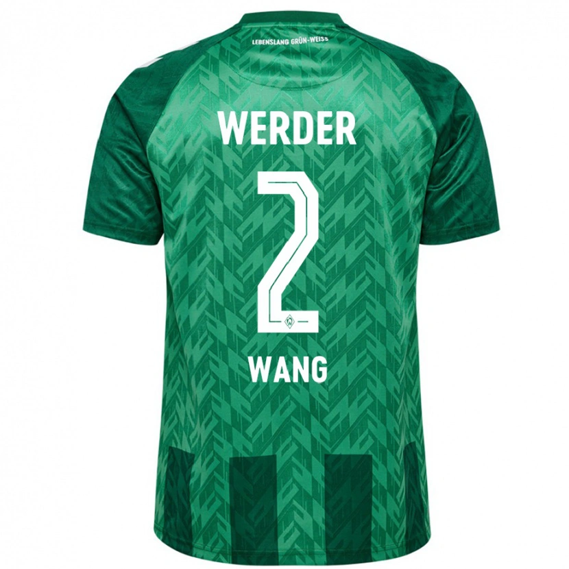 Danxen Mænd Bowen Wang #2 Grøn Hjemmebane Spillertrøjer 2024/25 Trøje T-Shirt