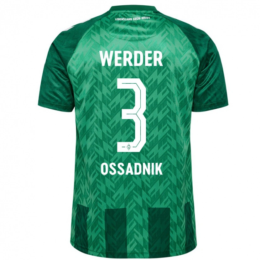 Danxen Kvinder Jannes Ossadnik #3 Grøn Hjemmebane Spillertrøjer 2024/25 Trøje T-Shirt
