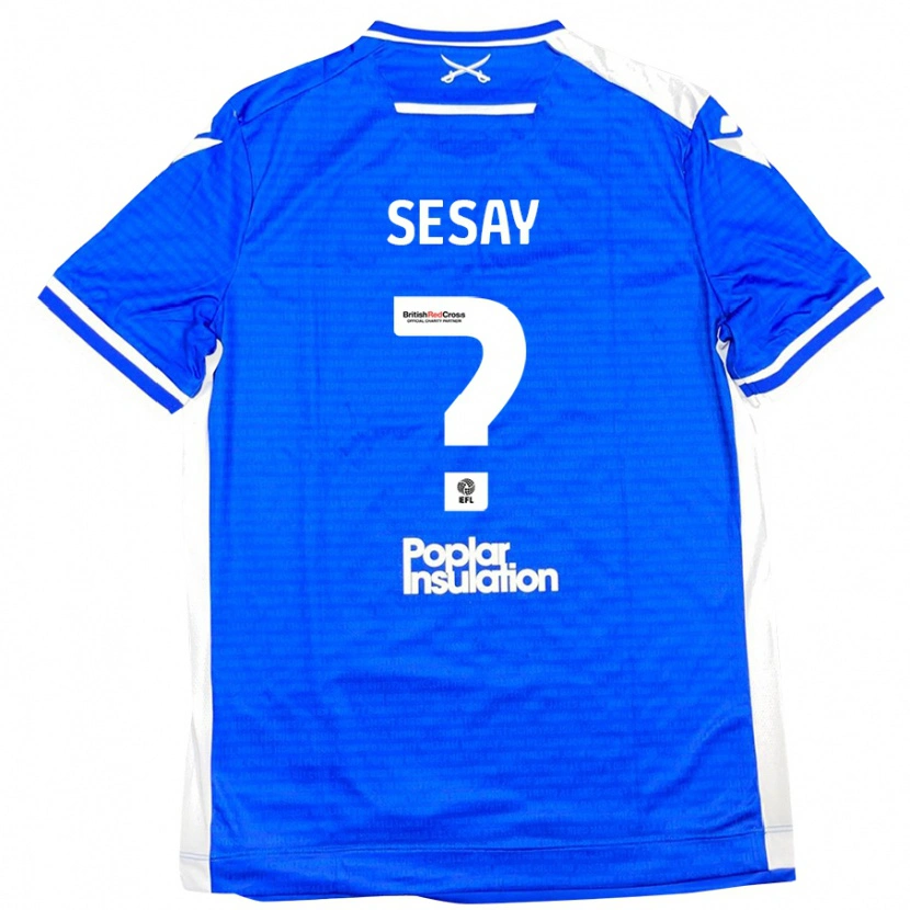 Danxen Mænd Malik Sesay #0 Blå Hvid Hjemmebane Spillertrøjer 2024/25 Trøje T-Shirt