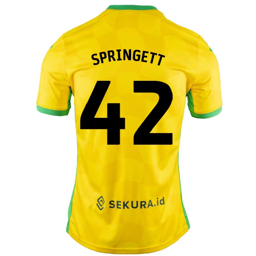 Danxen Mænd Tony Springett #42 Gul Grøn Hjemmebane Spillertrøjer 2024/25 Trøje T-Shirt