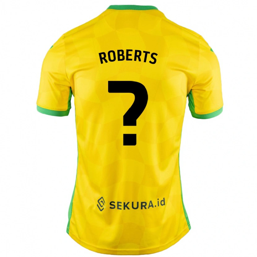 Danxen Mænd Alex Roberts #0 Gul Grøn Hjemmebane Spillertrøjer 2024/25 Trøje T-Shirt