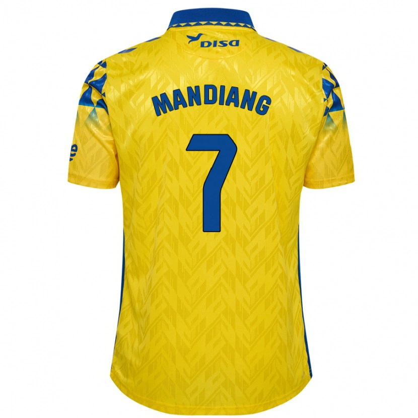 Danxen Mænd Saliou Mandiang #7 Gul Blå Hjemmebane Spillertrøjer 2024/25 Trøje T-Shirt