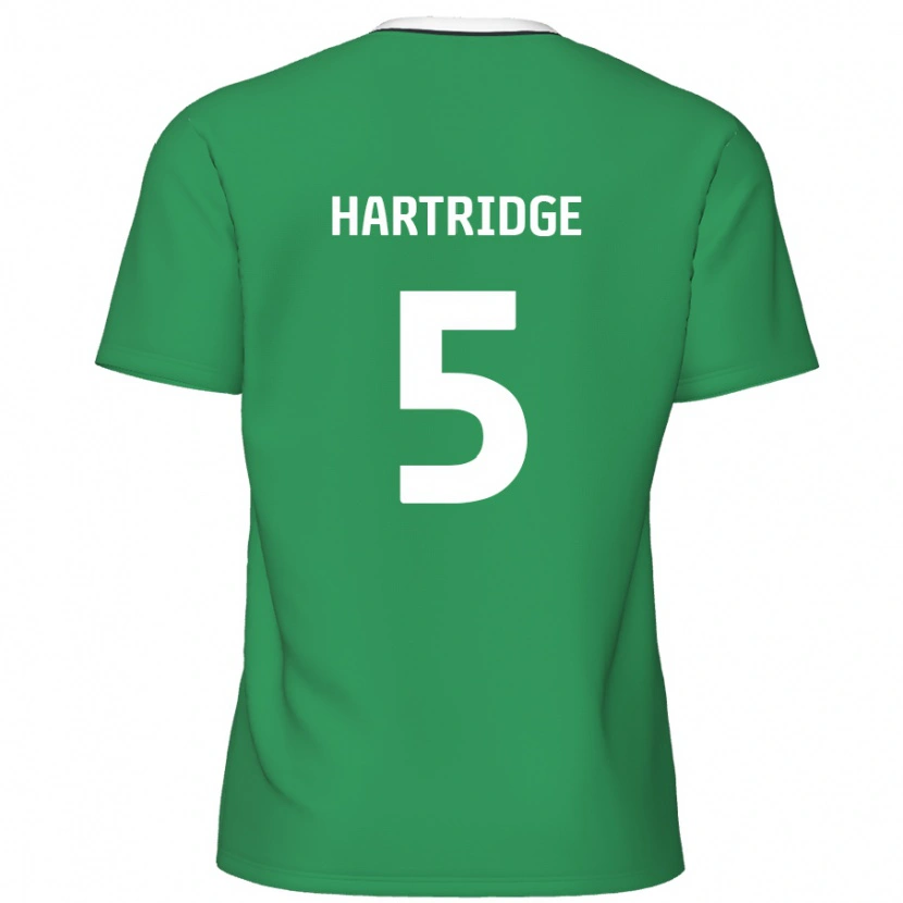 Danxen Mænd Alex Hartridge #5 Grønne Hvide Striber Udebane Spillertrøjer 2024/25 Trøje T-Shirt